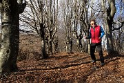 CASTEL REGINA (1424 m) e PIZZO CERRO ( 1285 m) ad anello da Catremerio il 14 dicembre 2017 - FOTOGALLERY